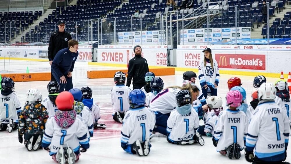 Foto: www.hcbilitygri.cz